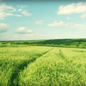 91网站免费入口永久
